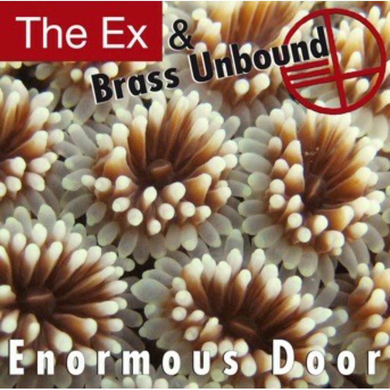 Picture of The & Brass Unbound Ex - Enormous Door