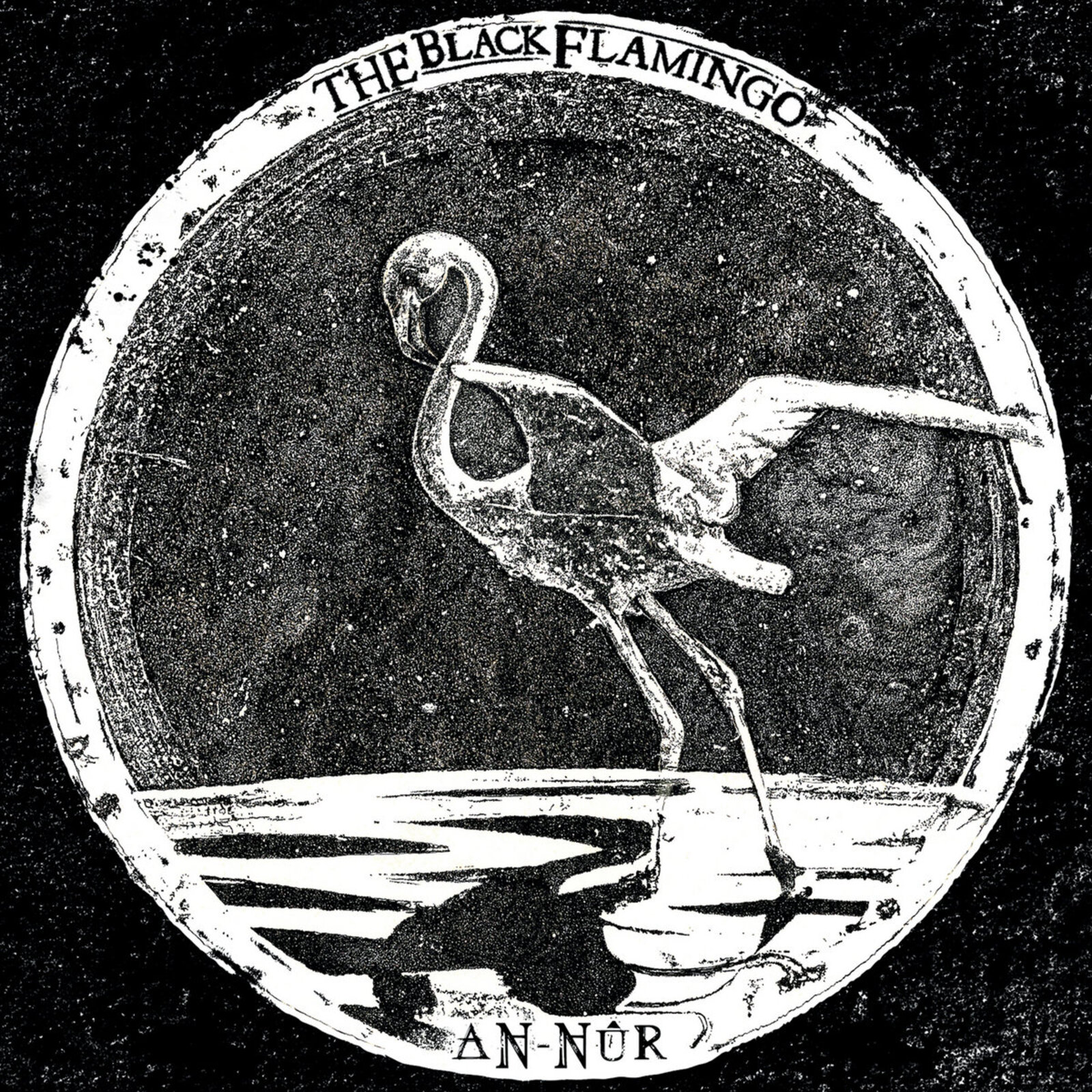 Picture of The Black Flamingo - An-Nur