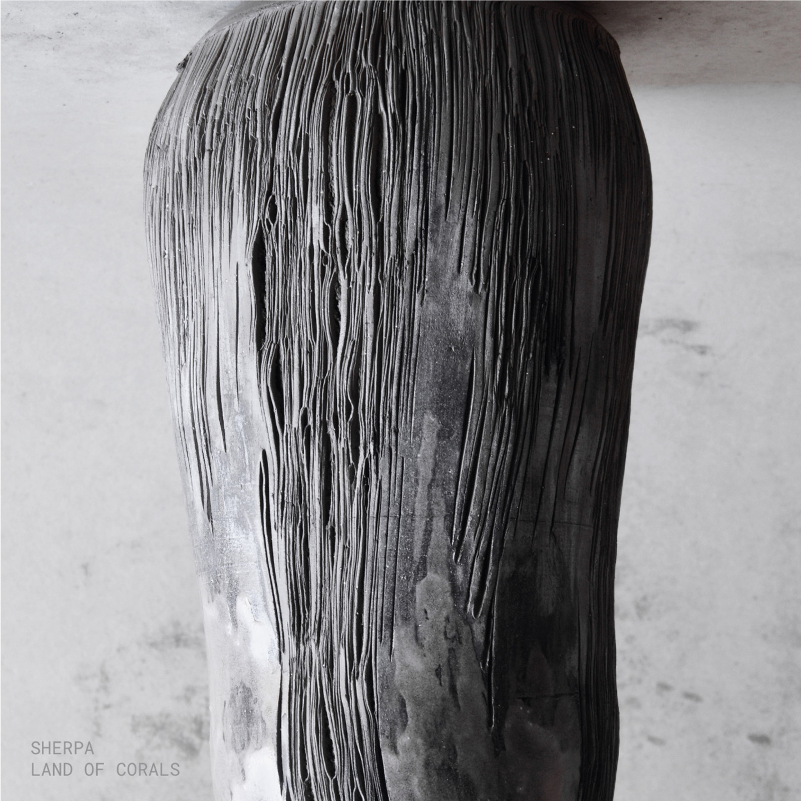 Picture of Sherpa - Land Of Corals