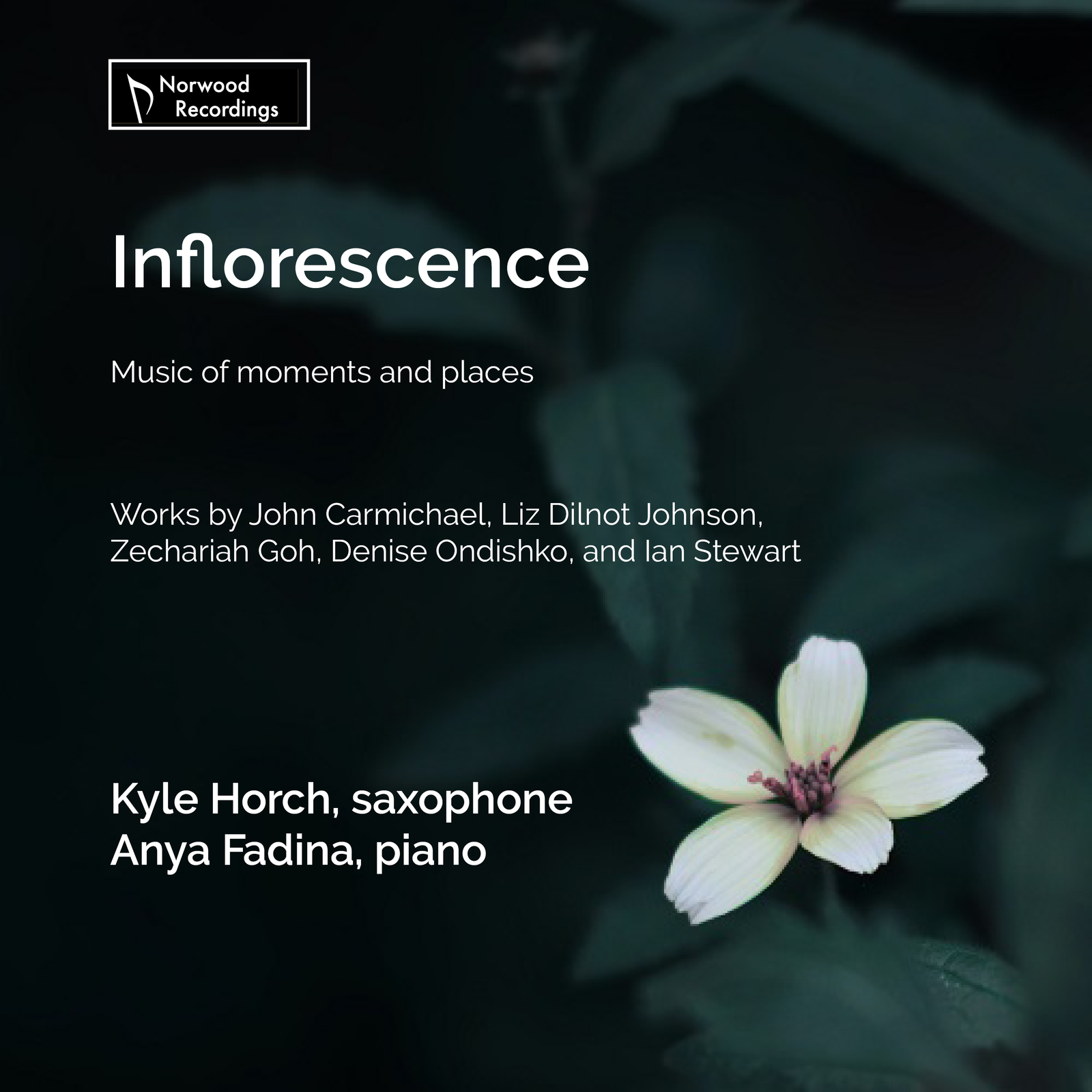 Picture of Kyle Horch; Anya Fadina - Inflorescence: Music of moments and places
