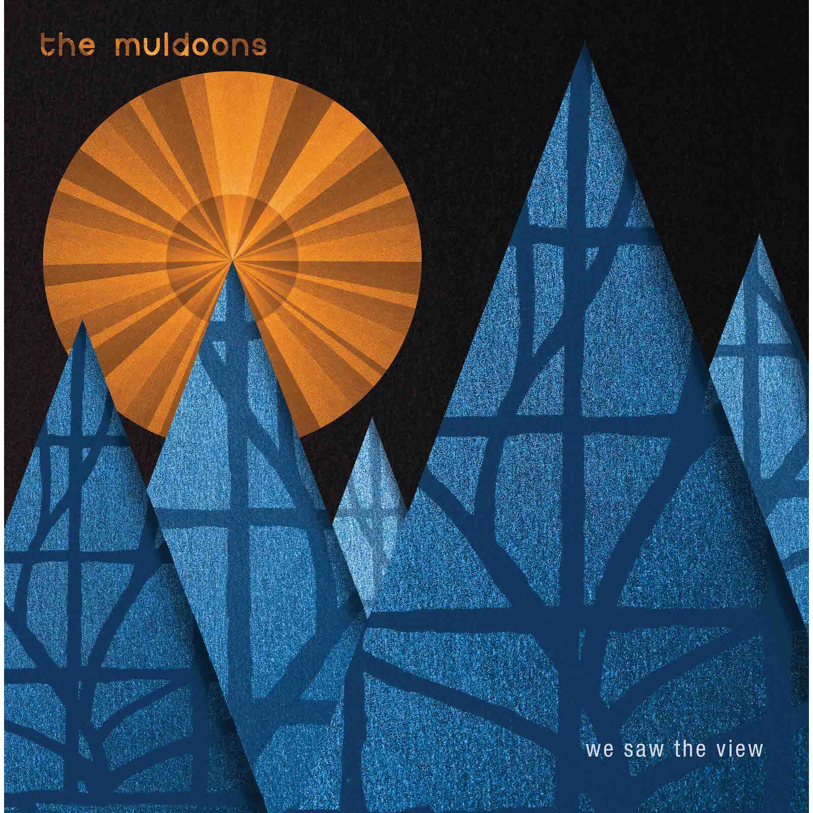 Picture of The Muldoons - We Saw The View