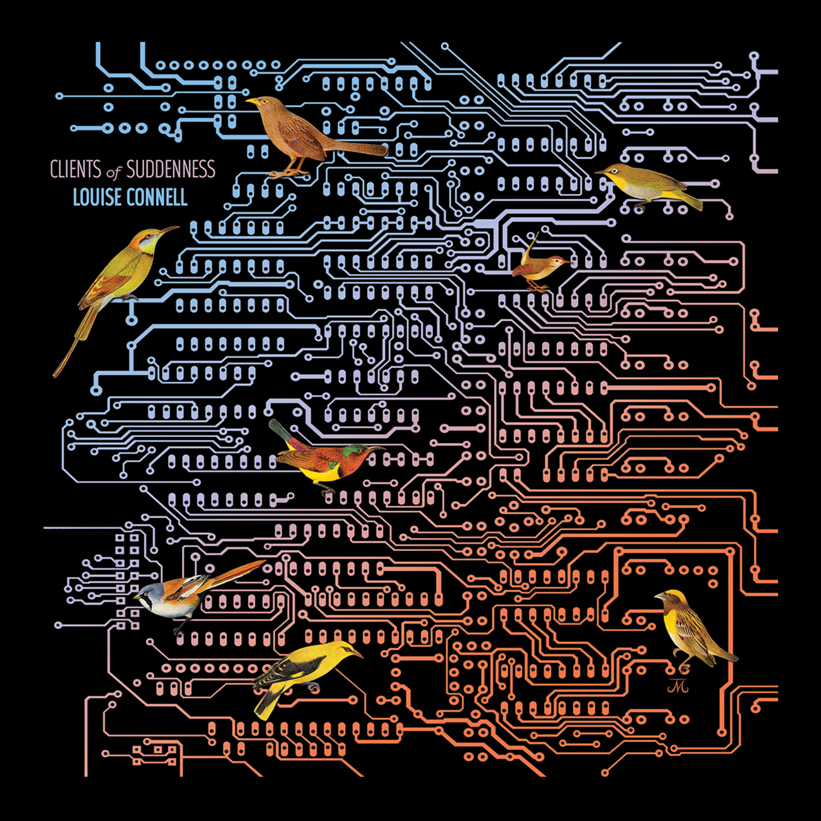 Picture of Louise Connell - Clients of Suddenness