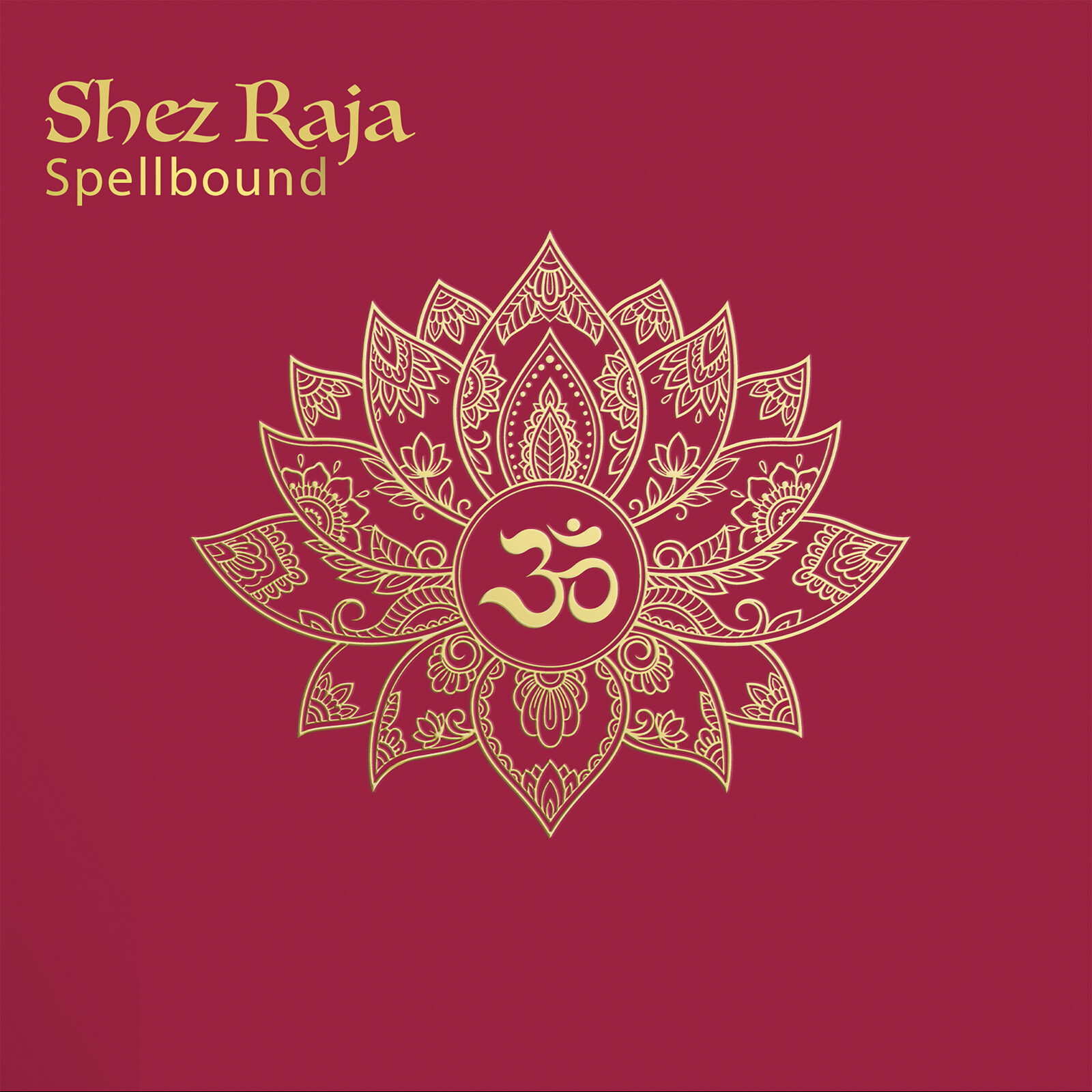 Picture of Shez Raja - Spellbound