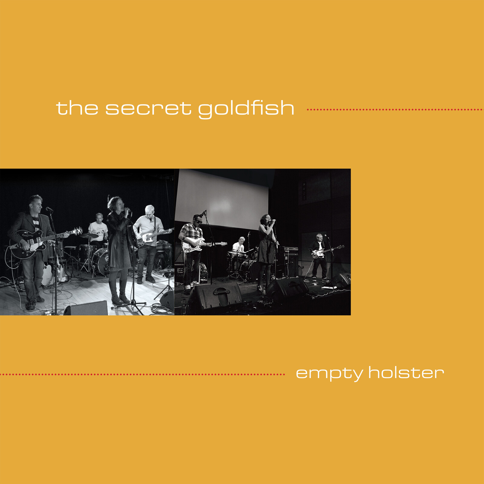 Picture of The Secret Goldfish - Empty Holster