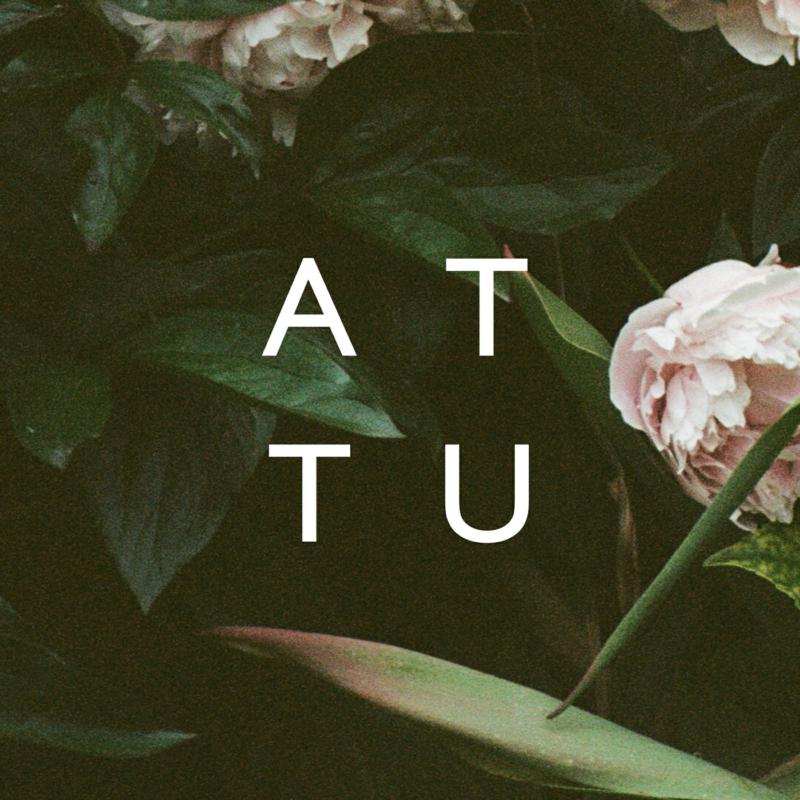 Picture of Attu - We Are Ordinary People
