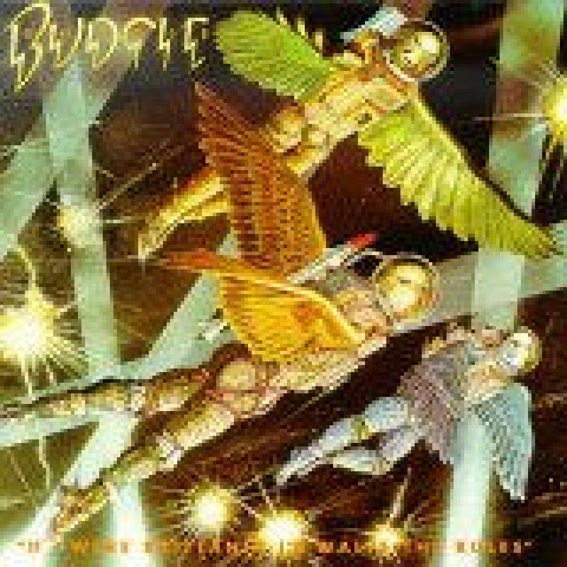 Picture of Budgie - If I Were Britannia I'd Waive the Rules