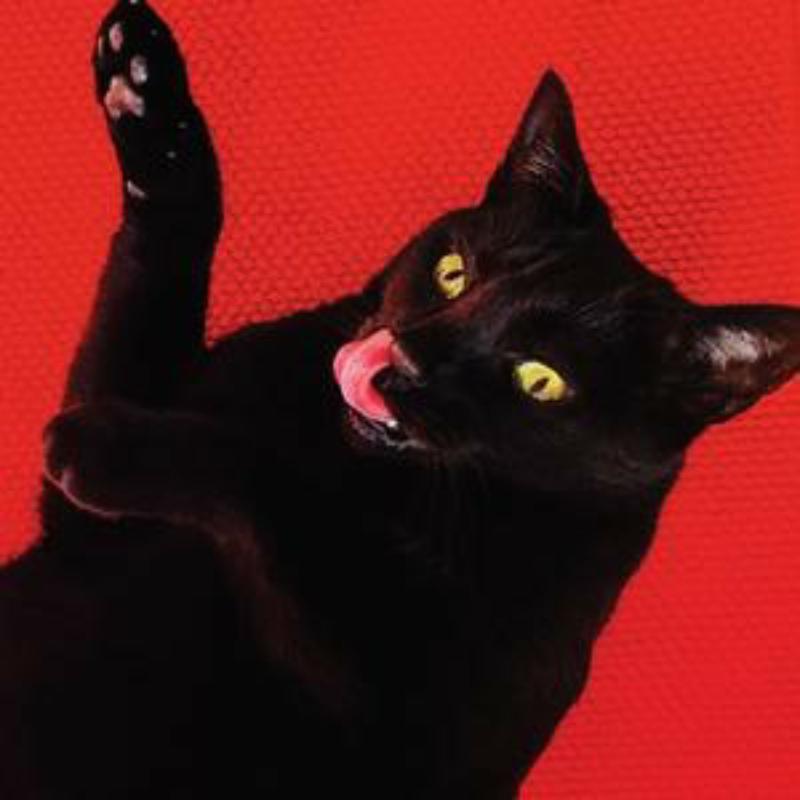 Picture of Ryan Adams - Big Colors (Australian Exclusive Cat's Eyes Yellow Vinyl + 7)