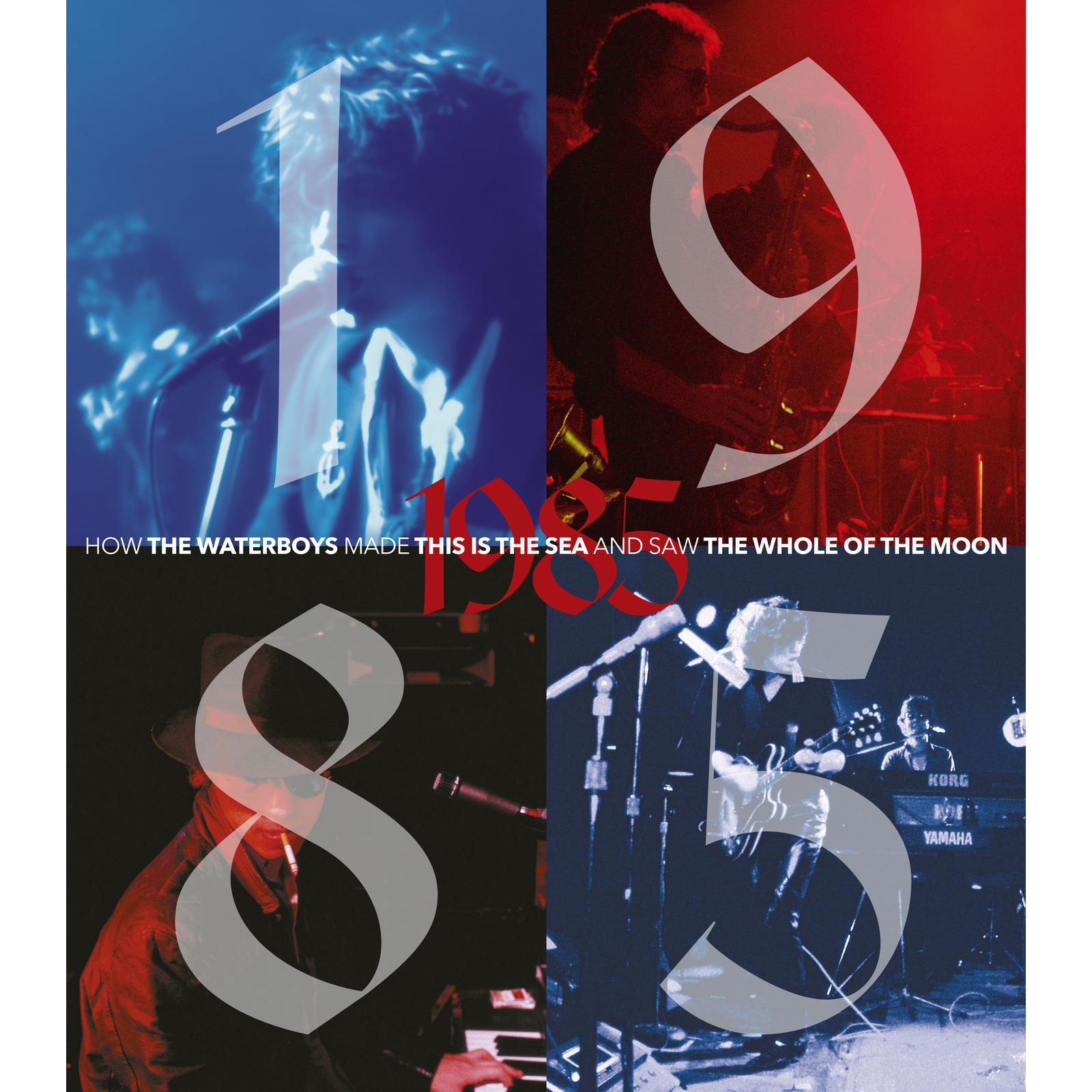 Picture of The Waterboys - 1985 (Deluxe Edition)