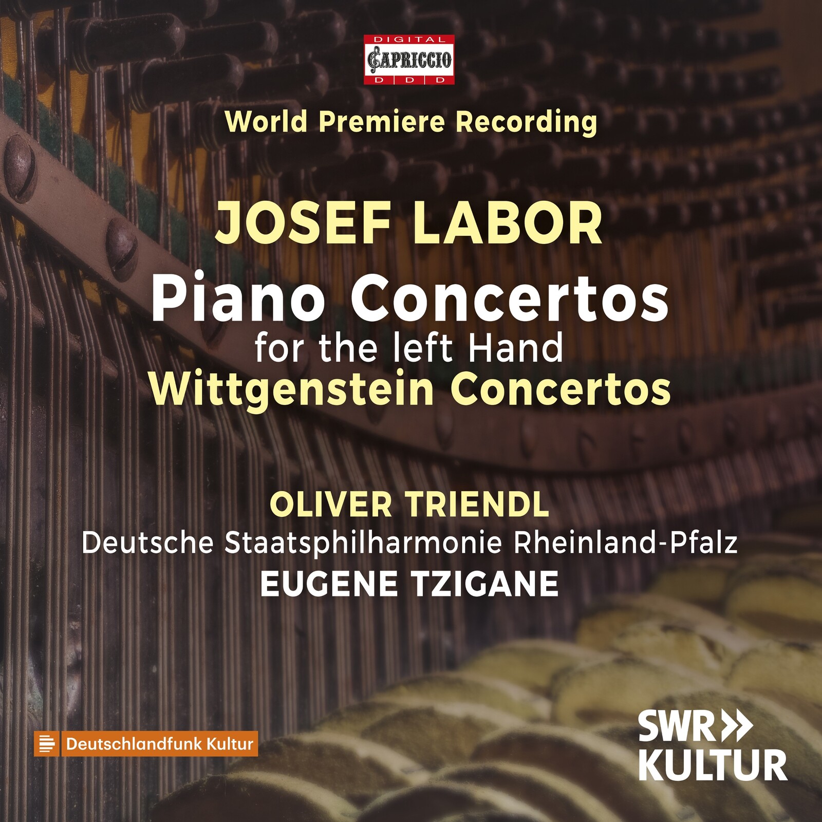 Picture of Oliver Triendl; Deutsche Staatsphilharmonie Rheinland-Pfalz; Eugene Tzigane - Josef Labor: Piano Concertos for the left Hand; Wittgenstein Concertos