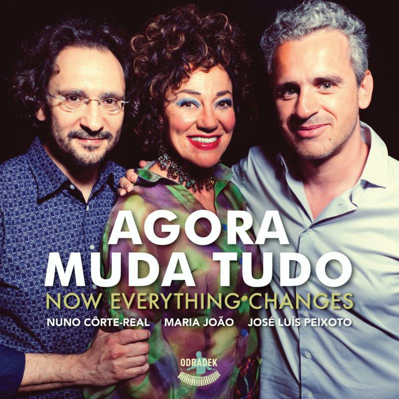 Picture of Ensemble Darcos - Agora Muda Tudo - Now Everything Changes