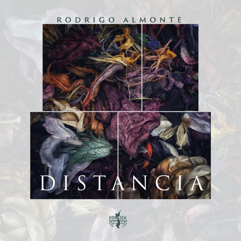 Picture of Rodrigo Almonte - Distancia