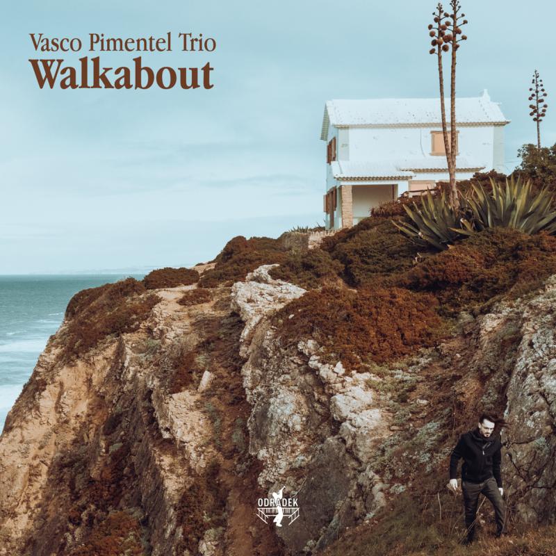Picture of Vasco Pimentel Trio - Walkabout