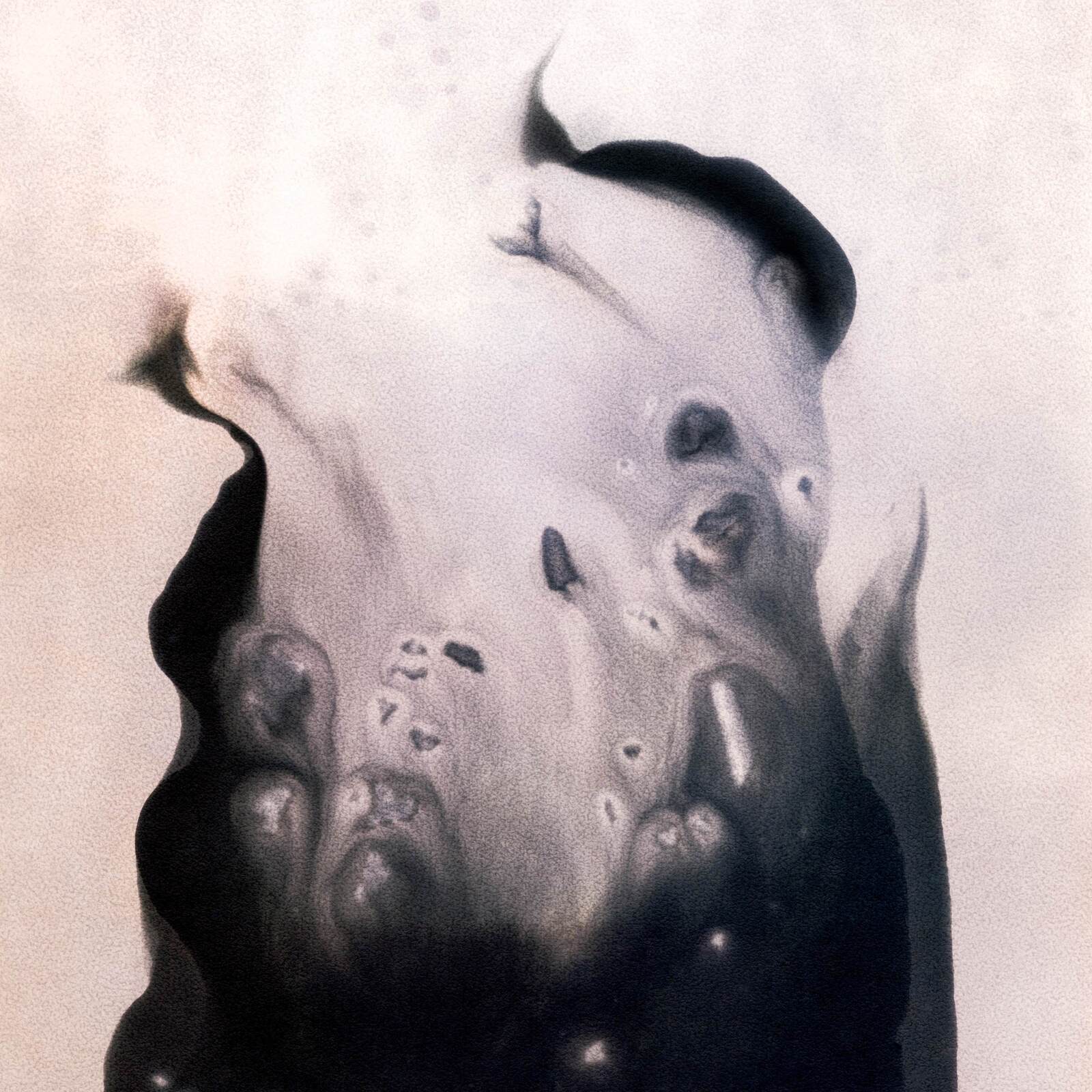 Picture of Marla Hansen - Salt