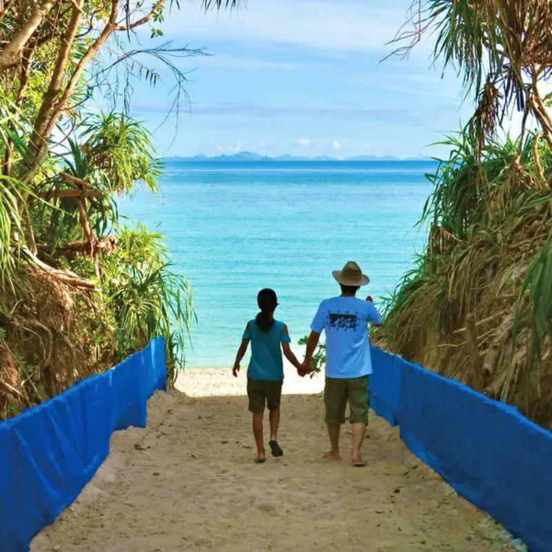 Picture of Nagisa Ni Te - Newocean