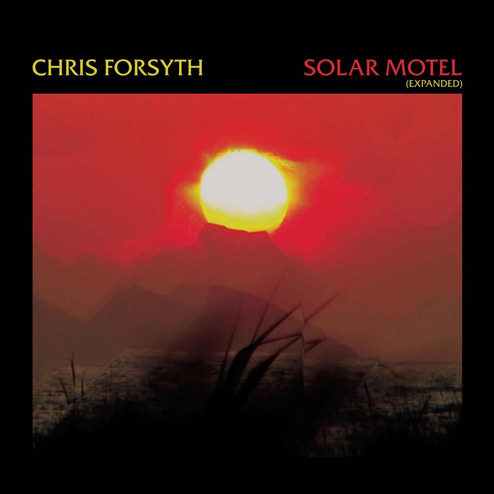 Picture of Chris Forsyth - Solar Motel (Expanded)