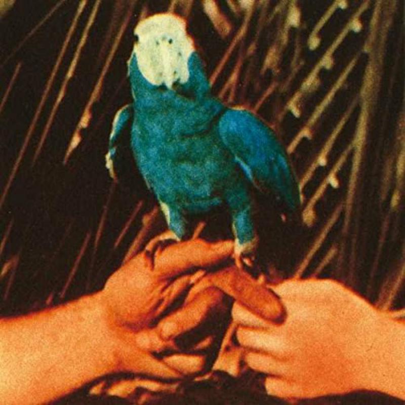 Picture of Bird Andrew - Are You Serious