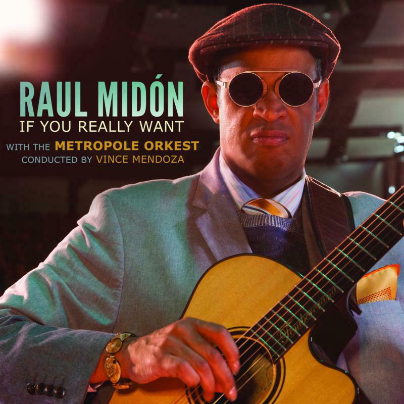 Picture of Raul Midon - If You Really Want [with the Metropole Orkest, conducted by Vince Mendoza]