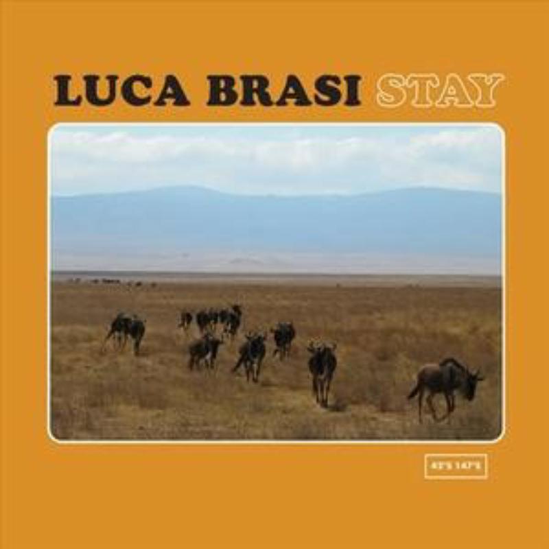 Picture of Luca Brasi - Stay