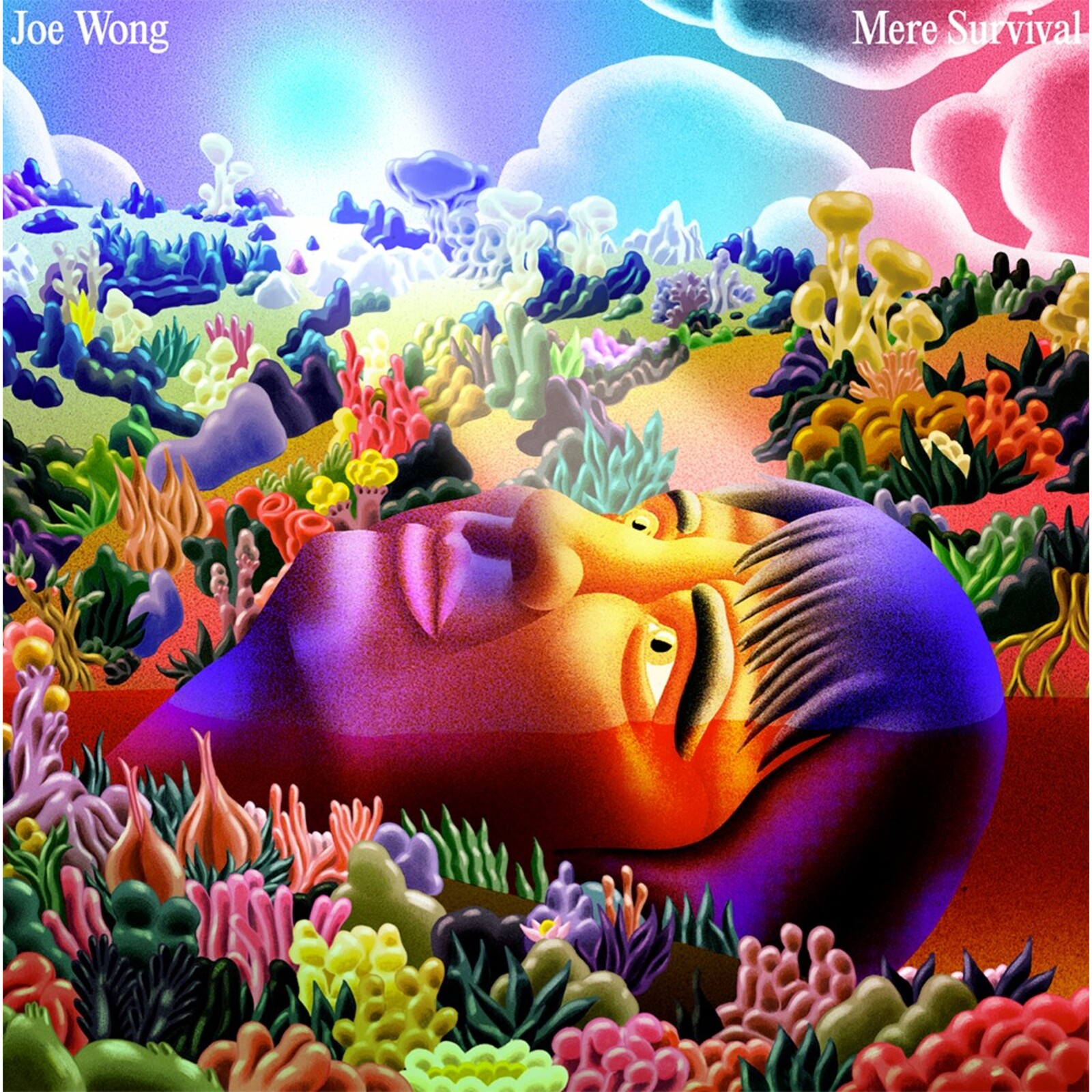 Picture of Joe Wong - Mere Survival