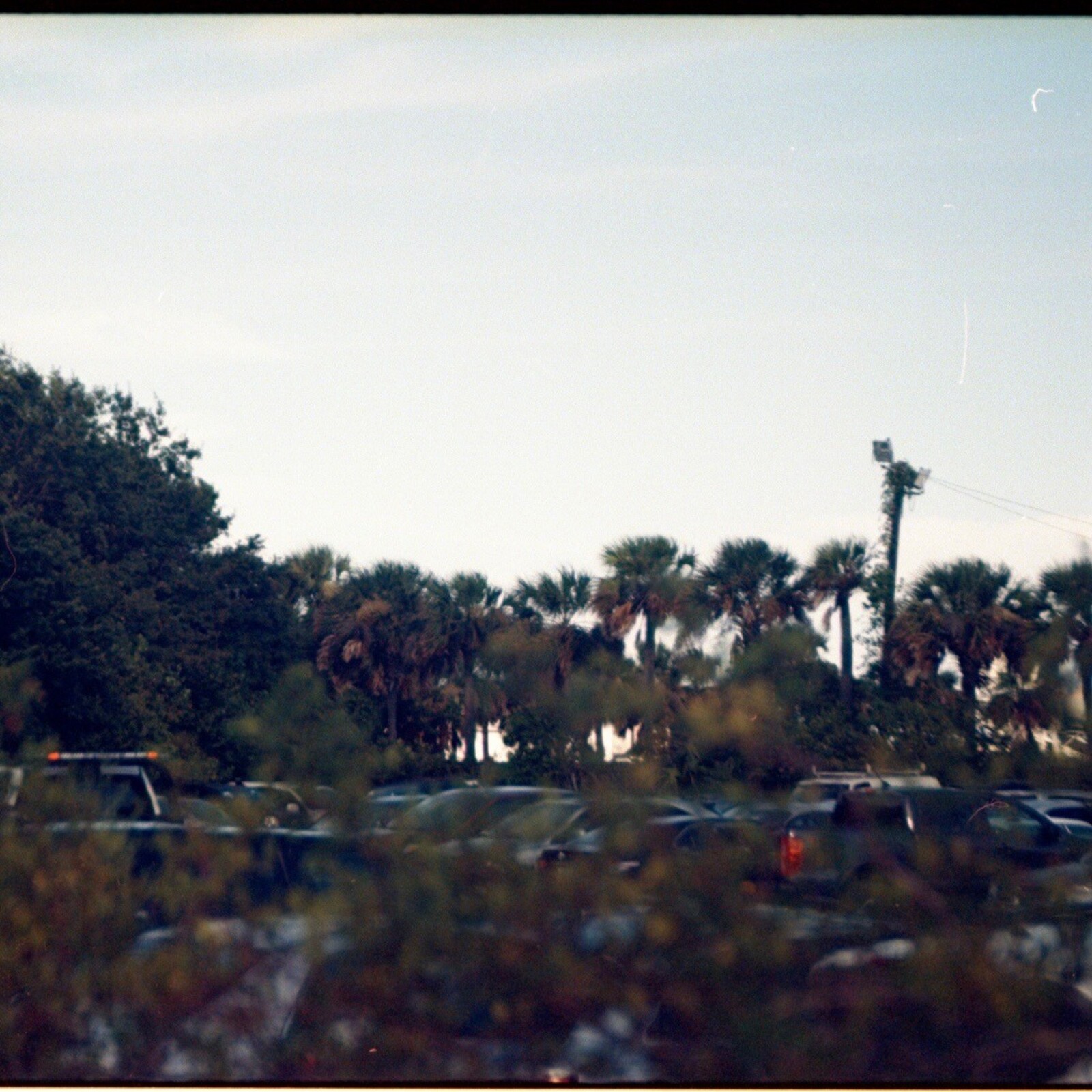 Picture of Brave Baby - 3 x Blood (Brick Red Vinyl)