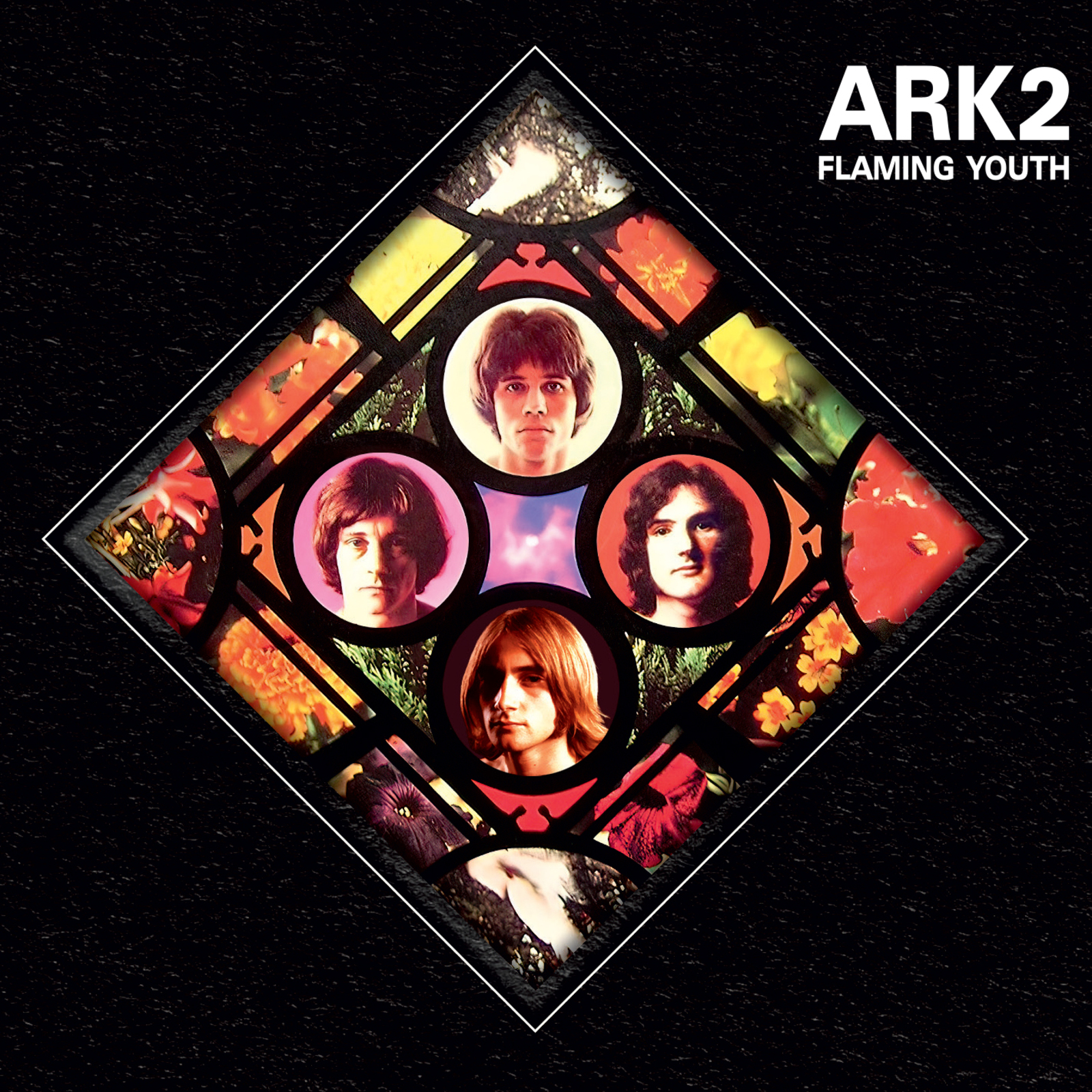 Picture of Flaming Youth - Ark 2