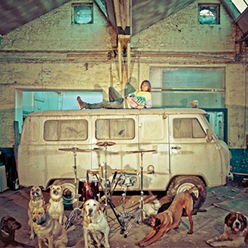 Picture of Us� - Chien D'La Casse