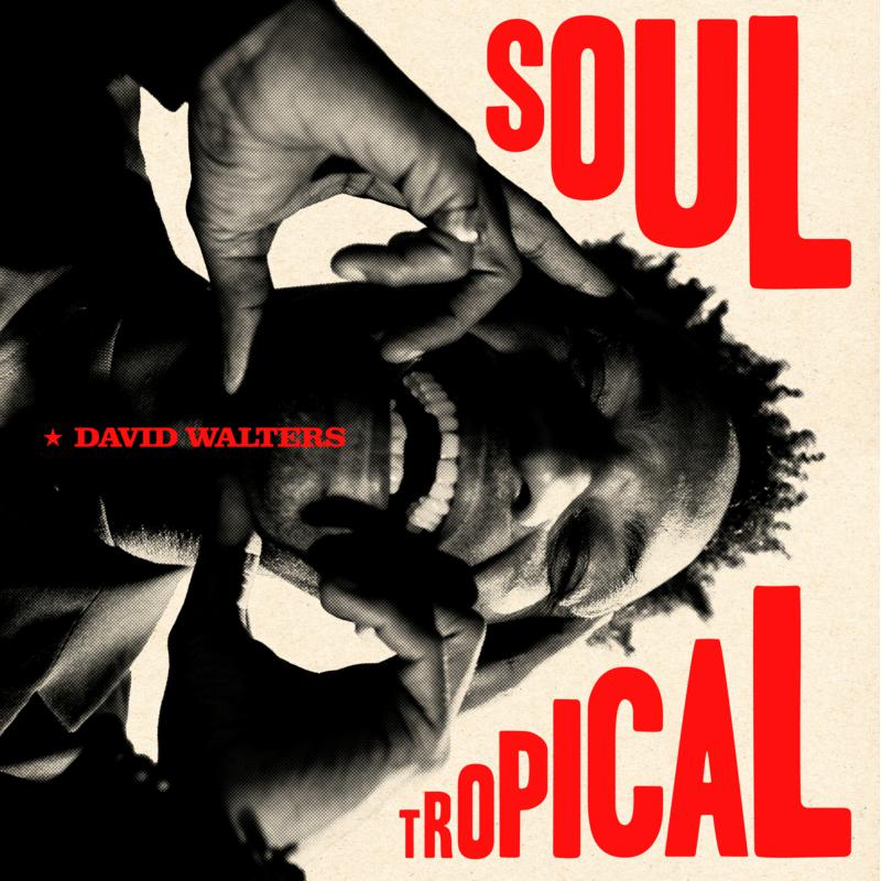 Picture of David Walters - Soul Tropical