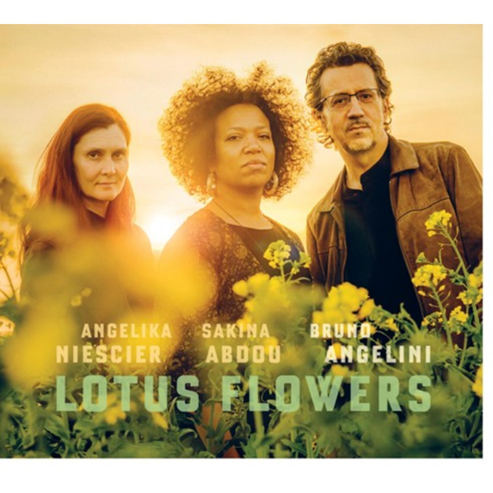 Picture of Bruno Angelini - Lotus Flower