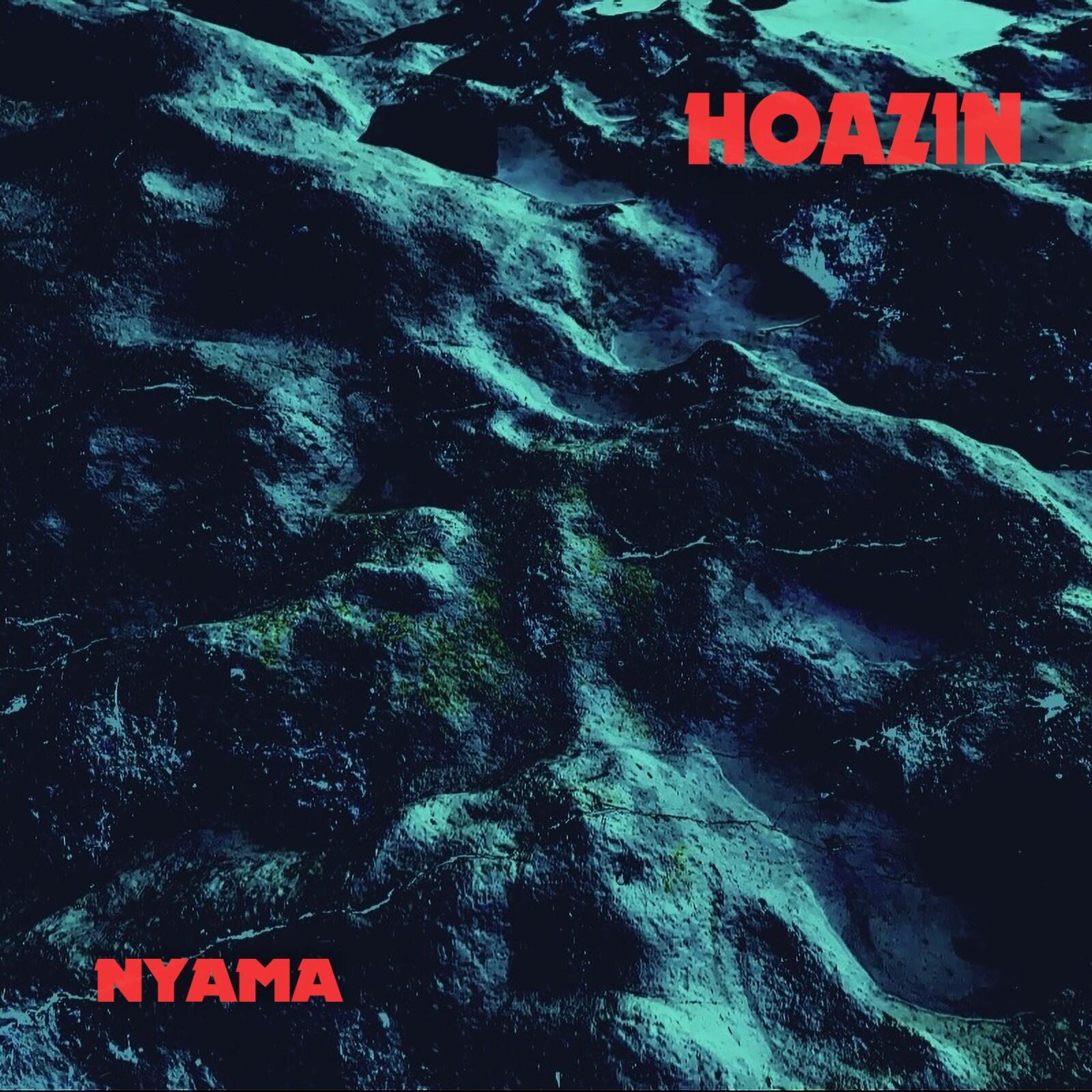 Picture of Hoazin - Nyama