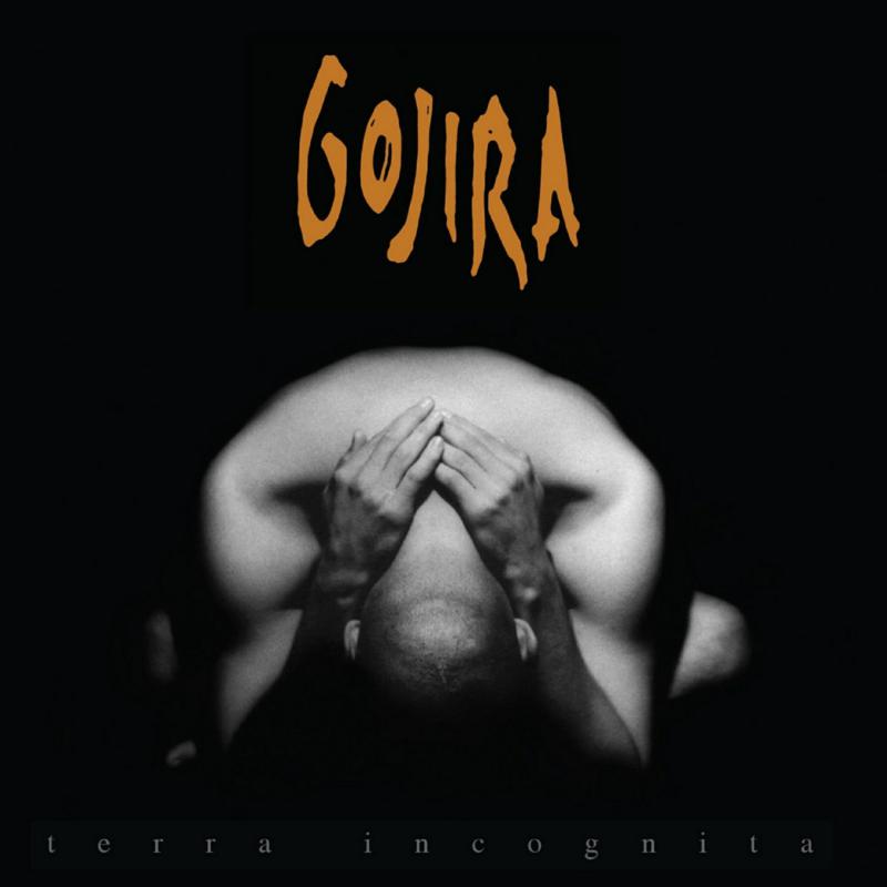 Picture of Gojira - Terra Incognita