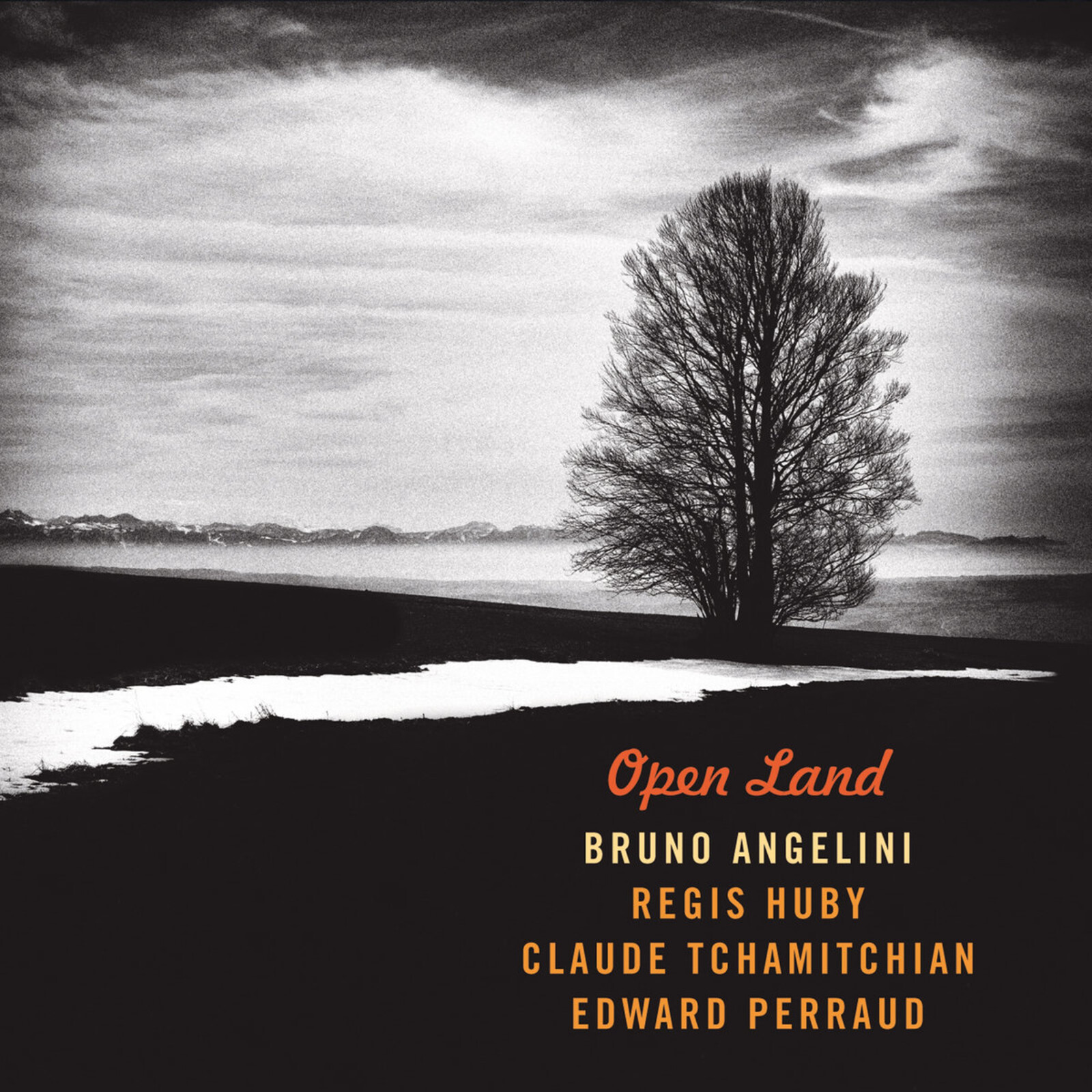 Picture of Bruno Angelini - Open Land