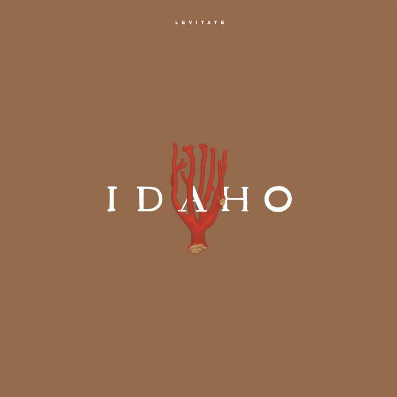 Picture of Idaho - Levitate (LP)