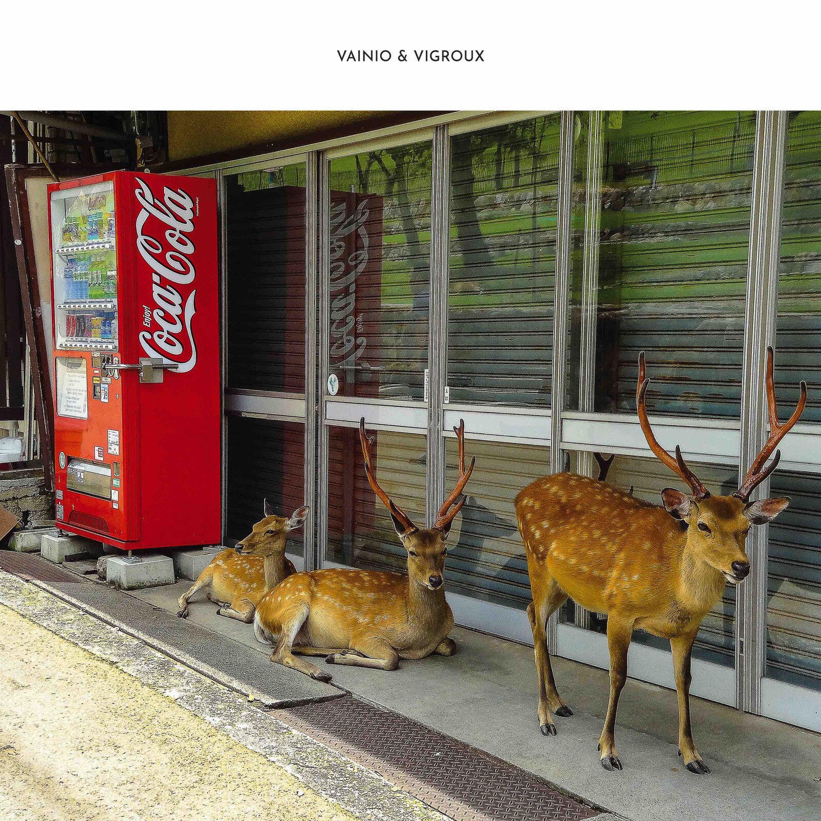 Picture of Vainio & Vigroux - Peau Froide, Le\u0301ger Soleil