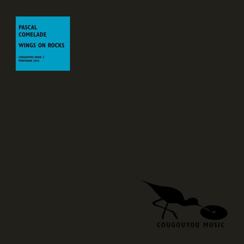 Picture of Pascal Comelade - Wings On Rocks