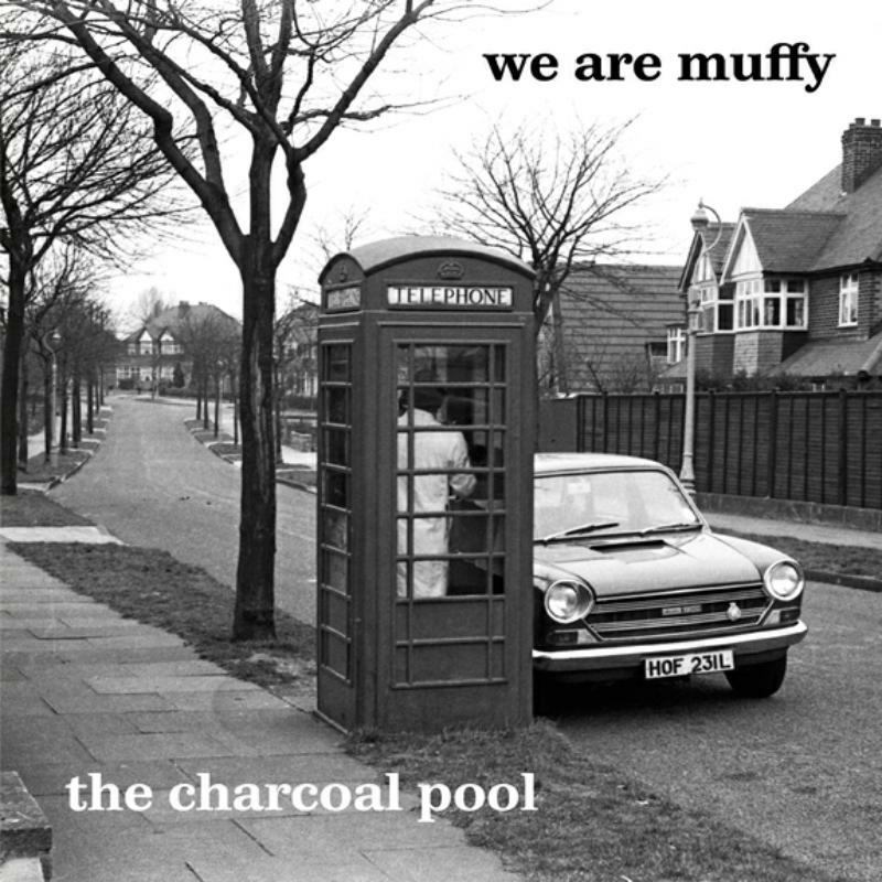 Picture of We Are Muffy - The Charcoal Pool