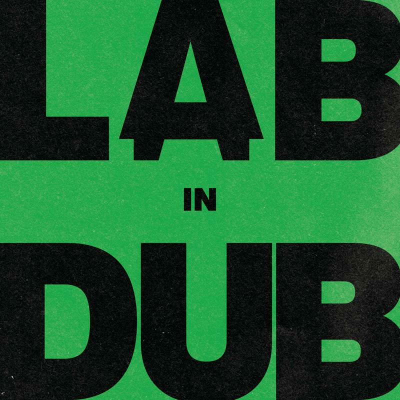 Picture of L.A.B. & Paolo Baldini Dubfiles - In Dub