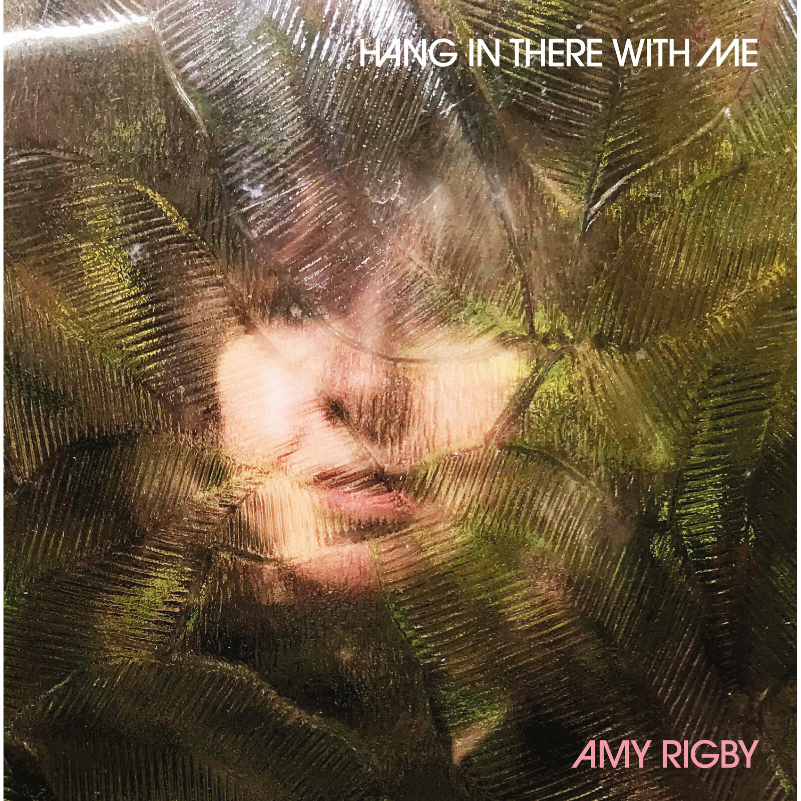 Picture of Amy Rigby - Hang In There With Me