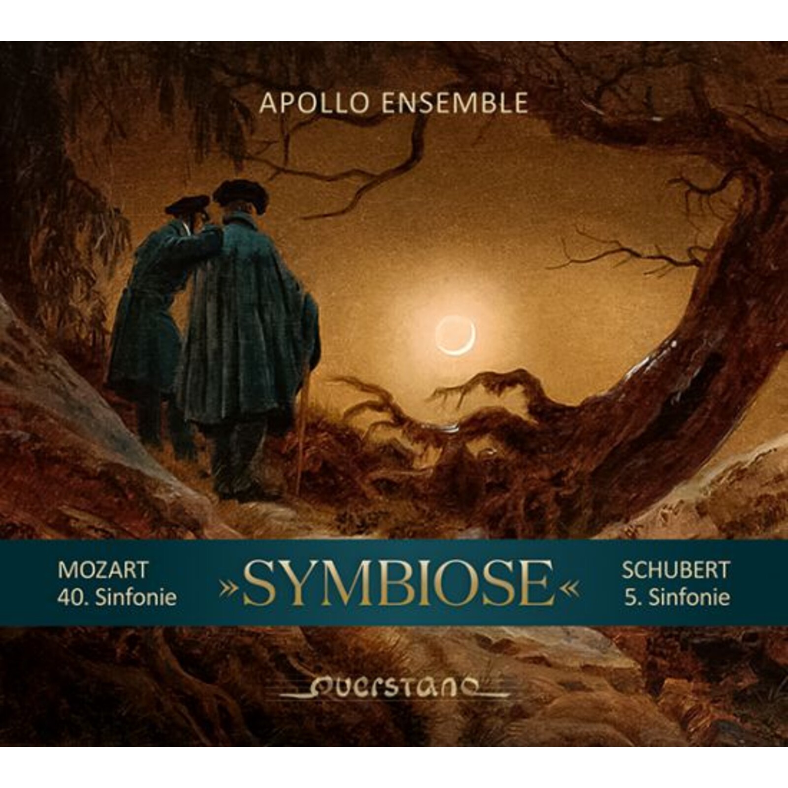 Picture of David Rabinovich - Symbiose