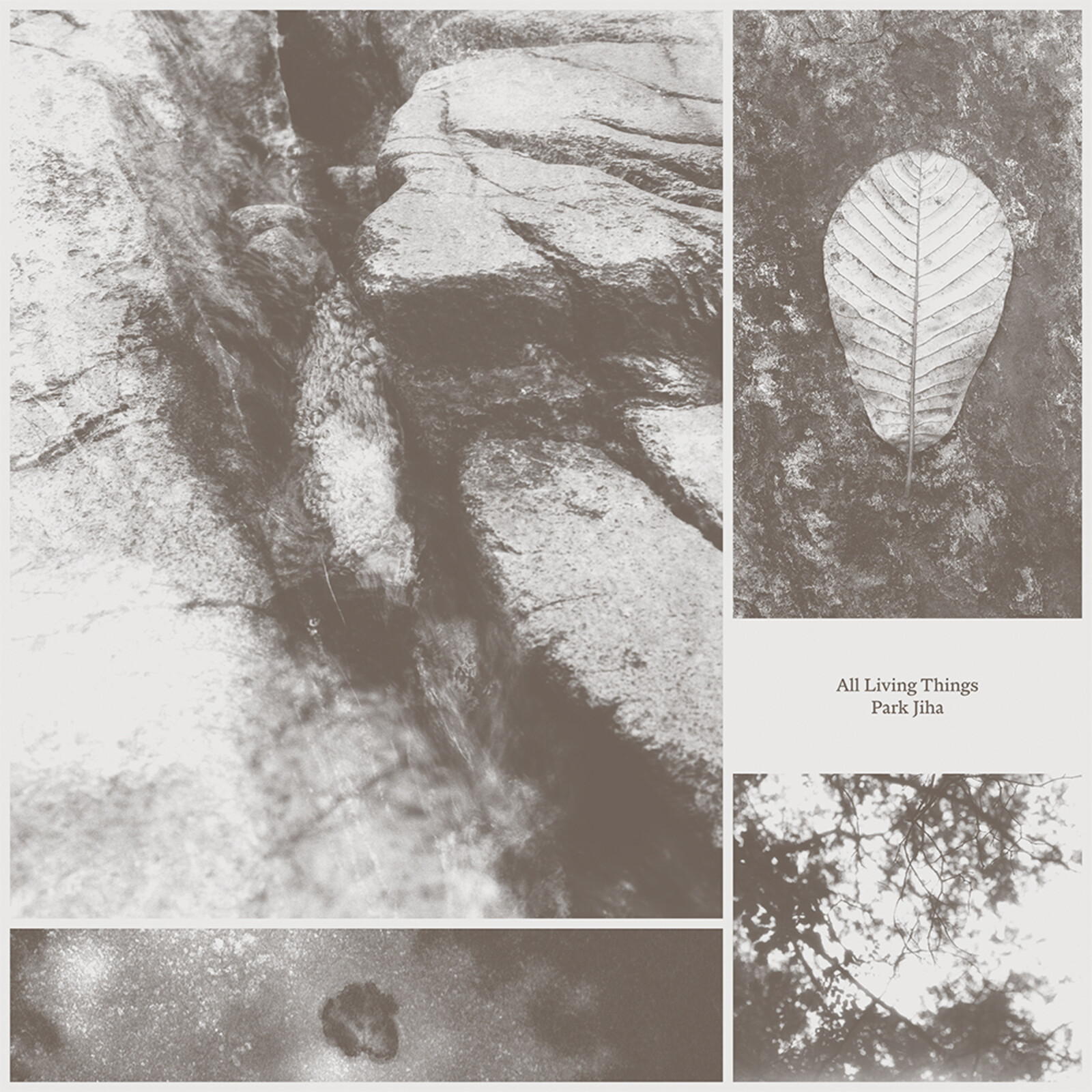 Picture of Park Jiha - All Living Things