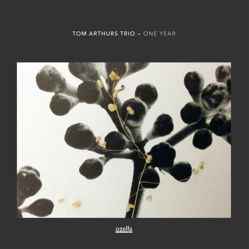 Picture of Tom Arthurs Trio - One Year