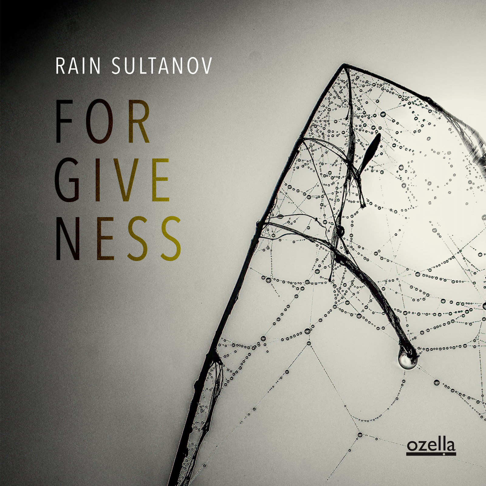 Picture of Rain Sultanov - Forgiveness