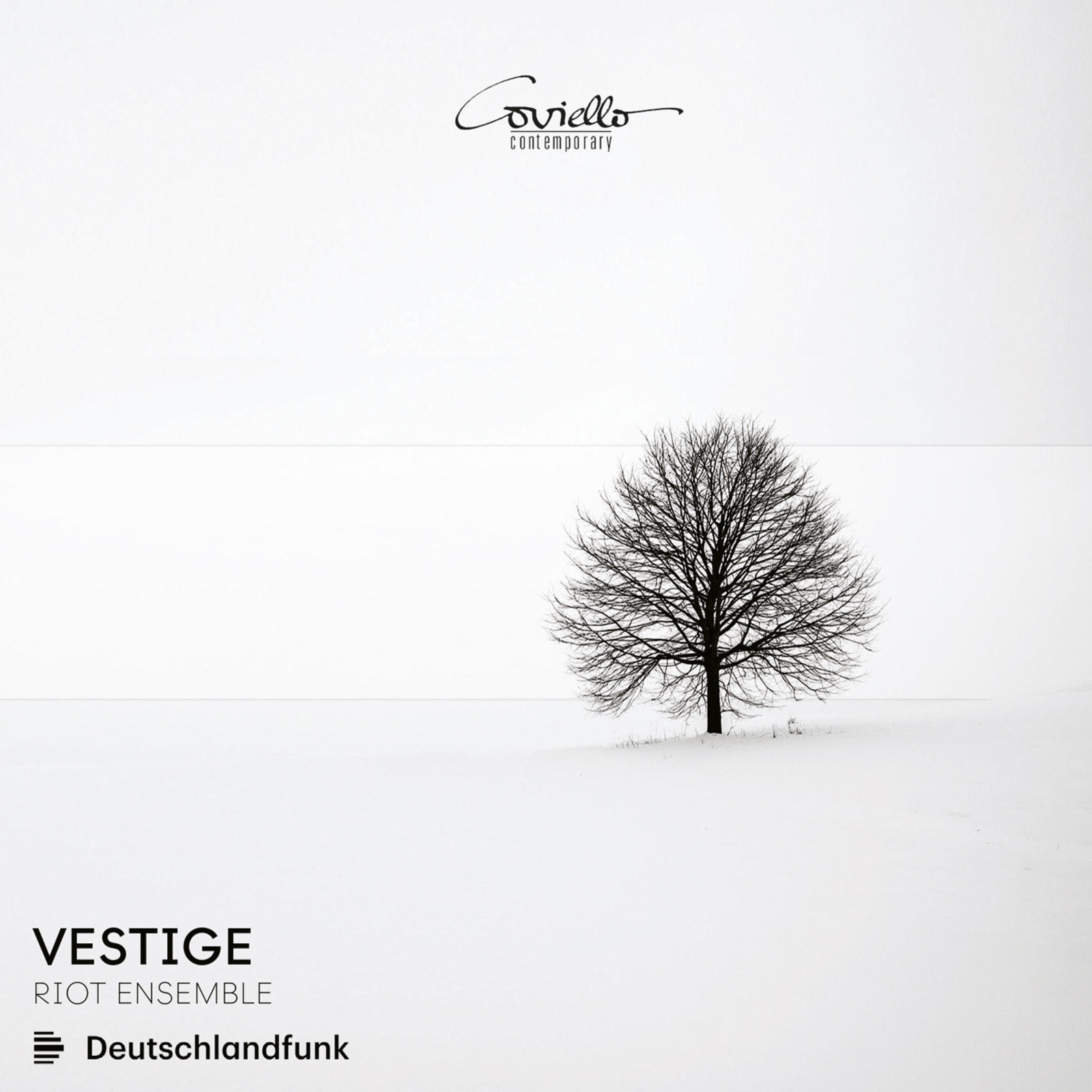 Picture of Riot Ensemble - Vestige