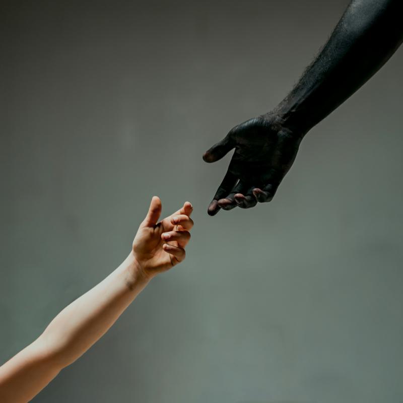 Picture of AVIANA - Corporation