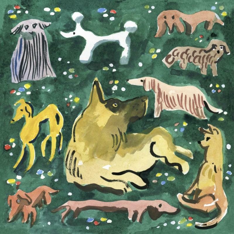 Picture of Sutja Gutierrez - Phylax Society