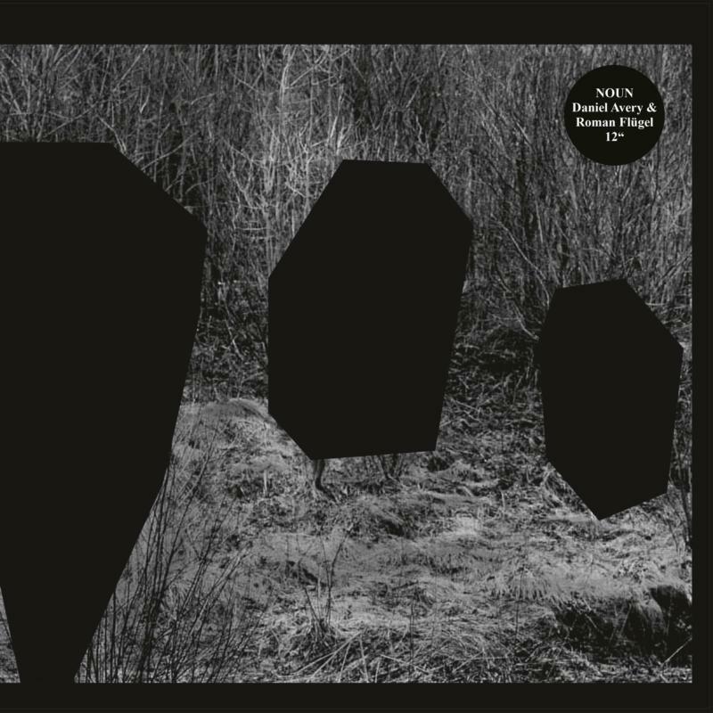 Picture of Noun (Daniel Avery & Roman Flugel) - Meeting Of The Minds