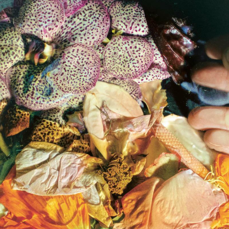 Picture of Soela - Genuine Silk