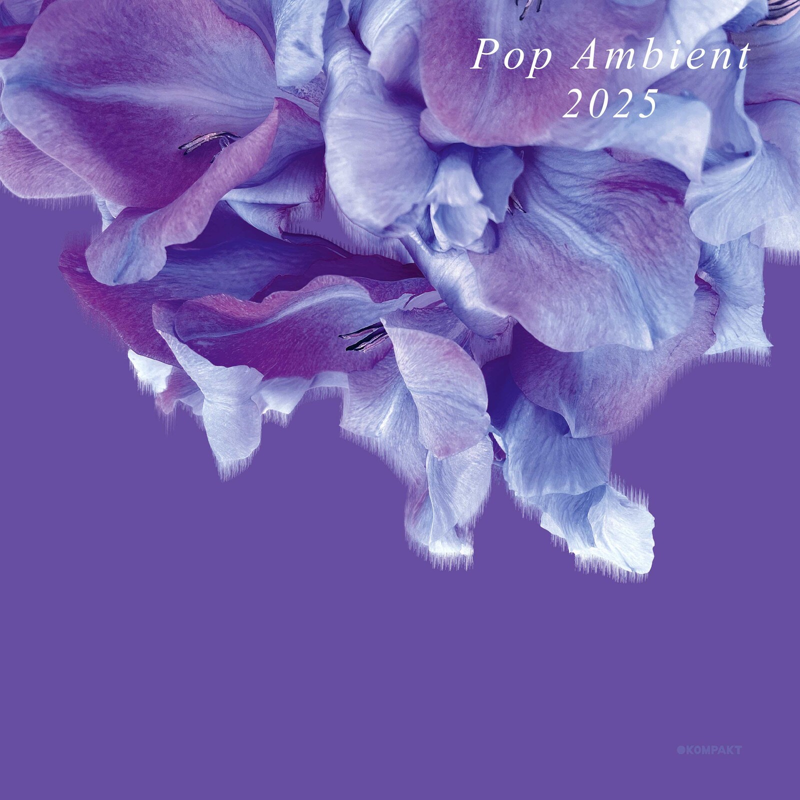 Picture of VARIOUS ARTISTS - POP AMBIENT 2025