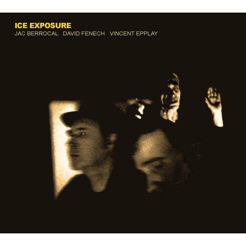 Picture of Jac Berrocal, David Fenech, Vincent Epplay - Ice Exposure