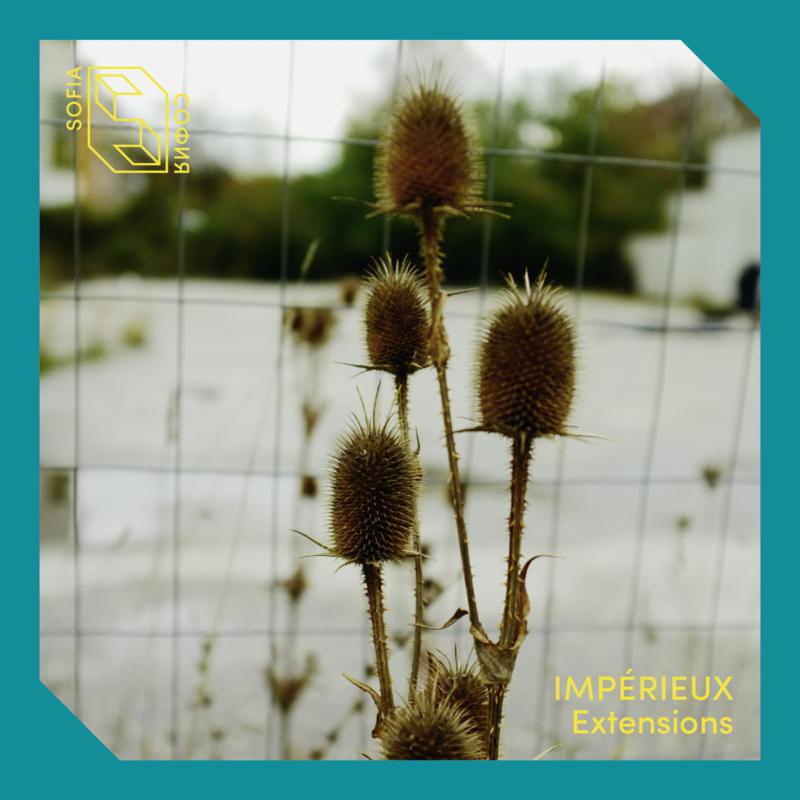 Picture of IMP�RIEUX - EXTENSIONS EP