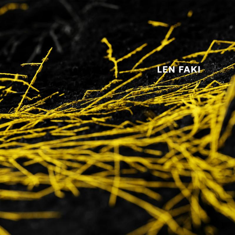 Picture of LEN FAKI - FUSION EP 02/03
